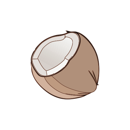 coconut
