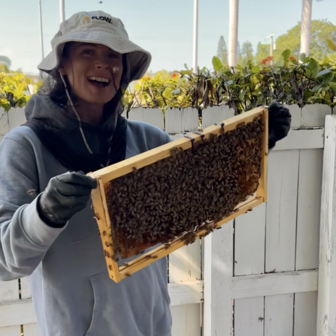 why honey?